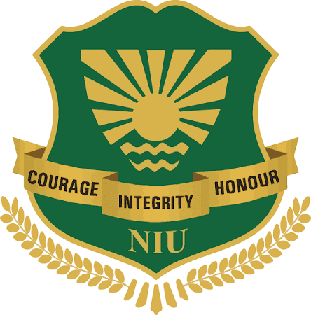Noida International University Online